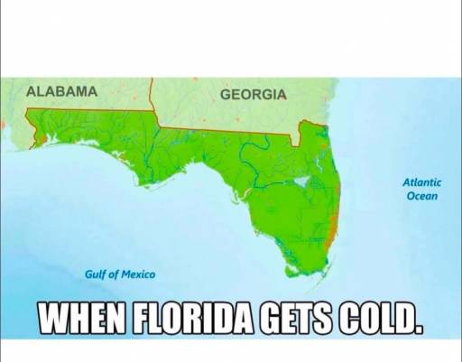 16560