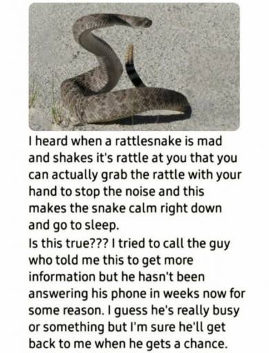 16569