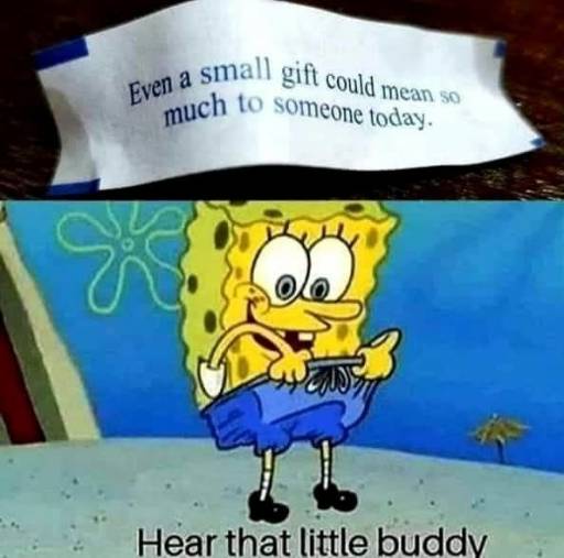 16576