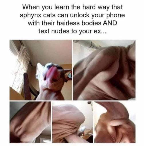 16580