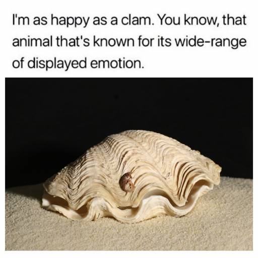 16602