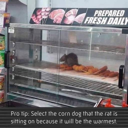 16604