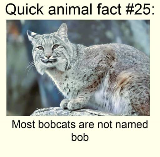 16685