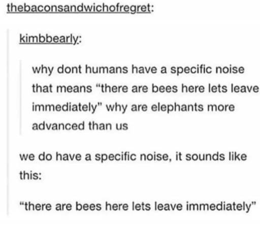 16692