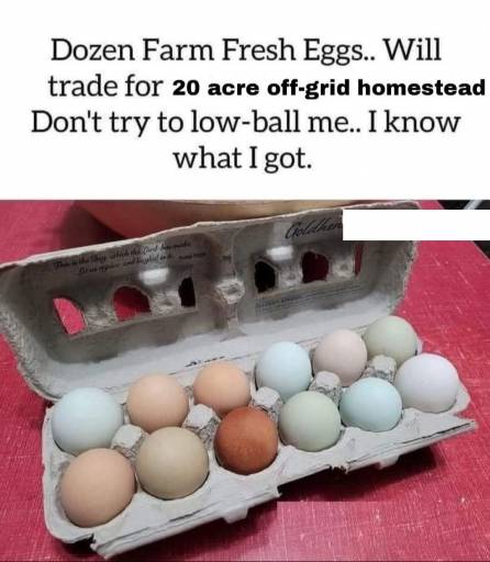 16723
