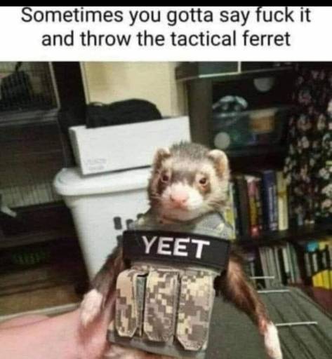 16735