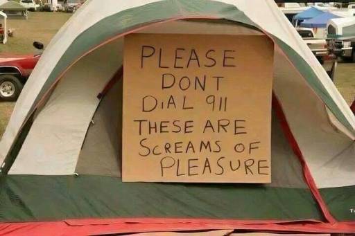 16769
