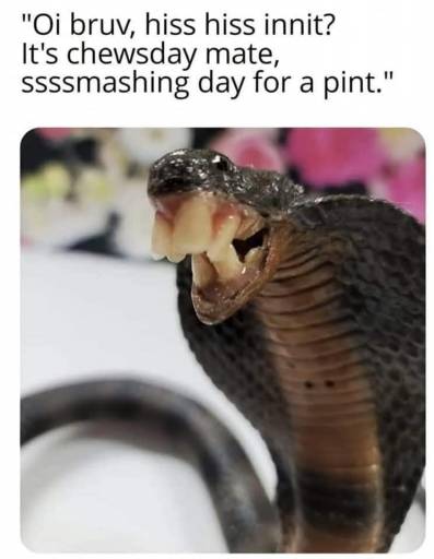 16828