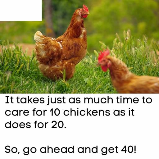 16847