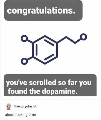 16849