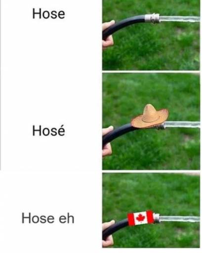 16860