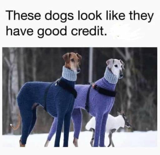 16869