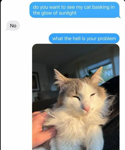 16883