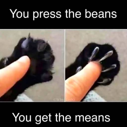 16919