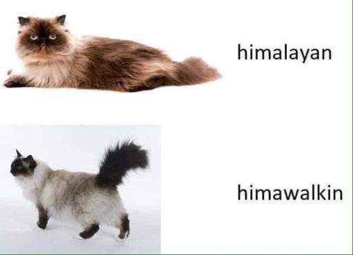 16934