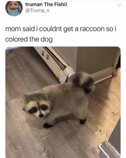 16974