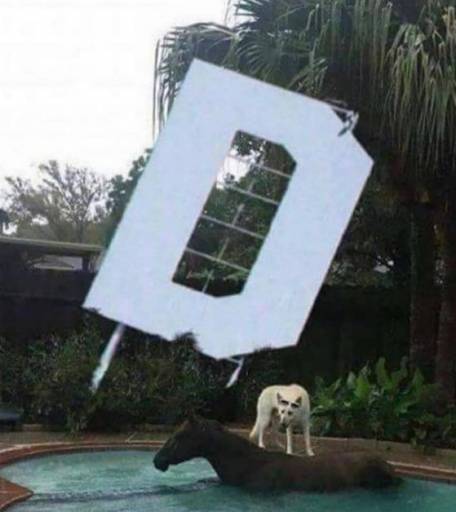 16976