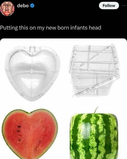 16979