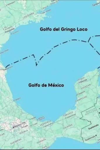 16994
