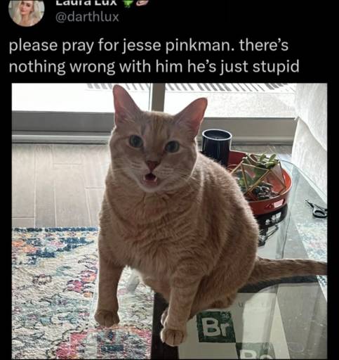 17005