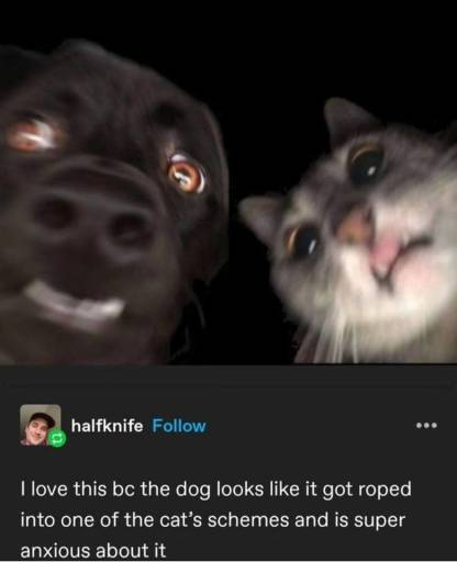 17049