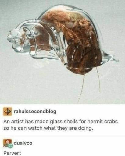 17078