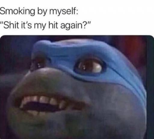 17132