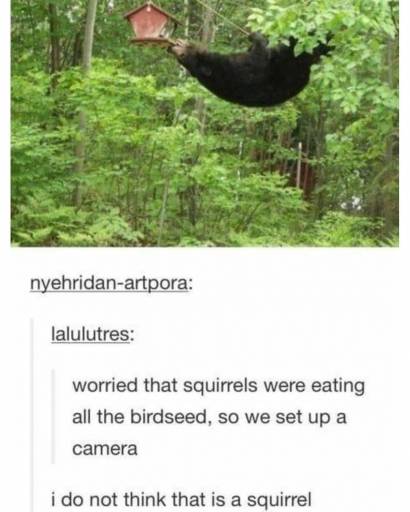 17151