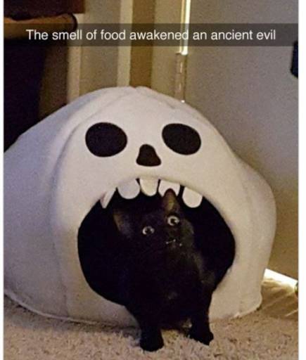 17174