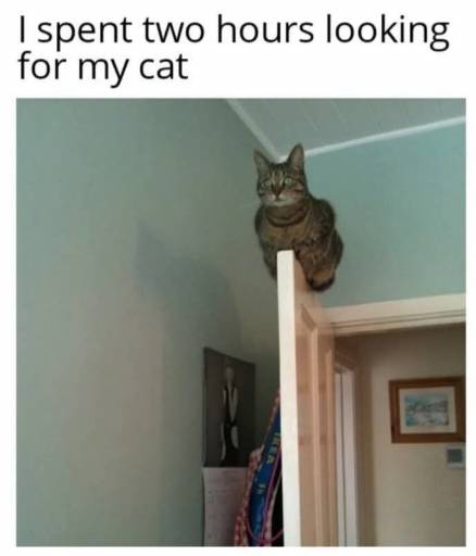 17190