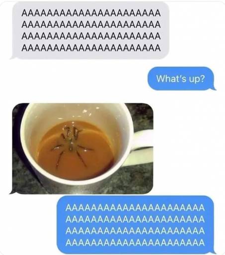 17191