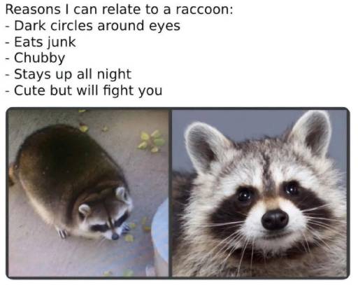17220