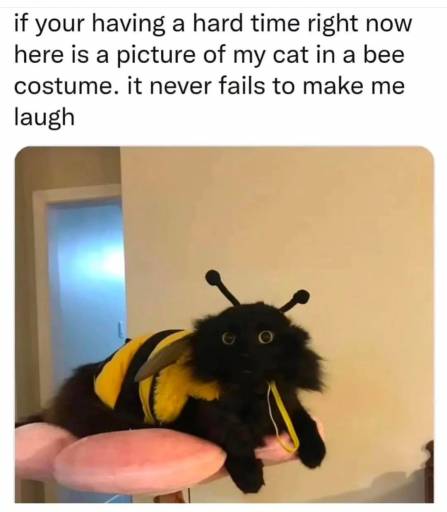 17237