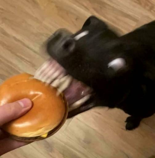 17240