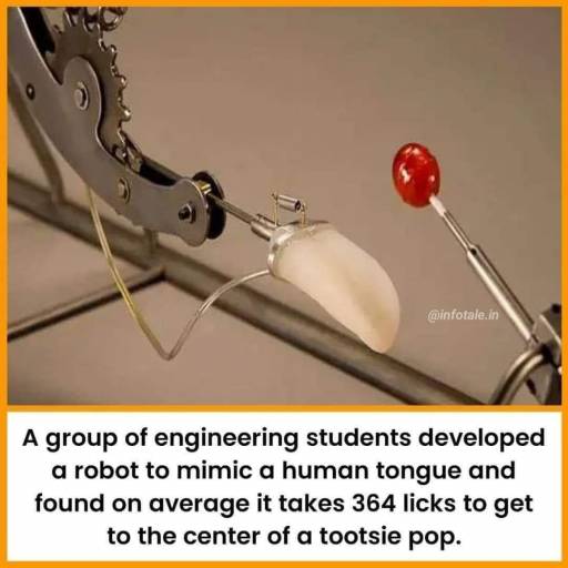 17243