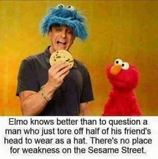 17256