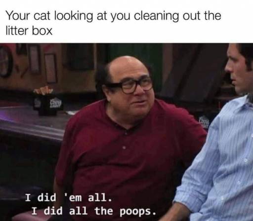 17304