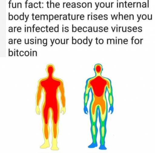 17355