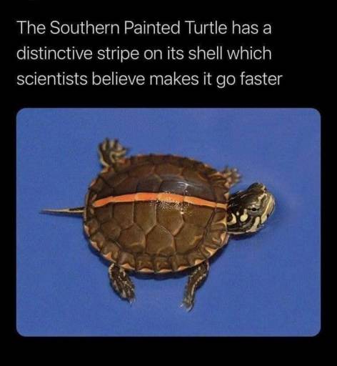 17413