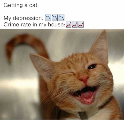 17462