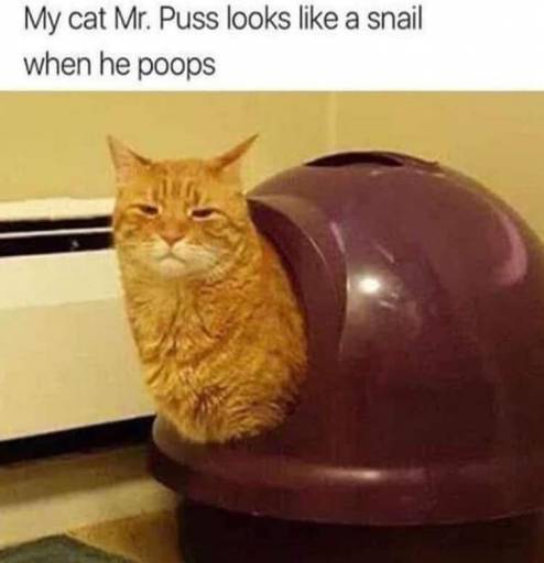 17463