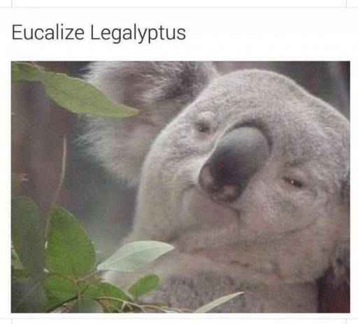 17493