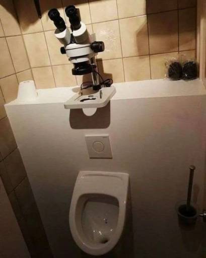 17496