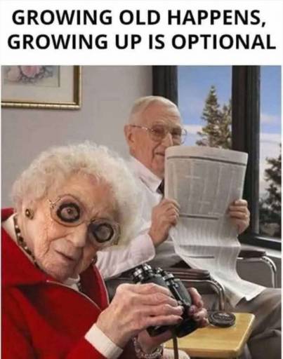 17502