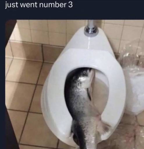 17532