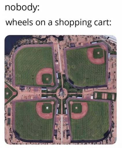 17564