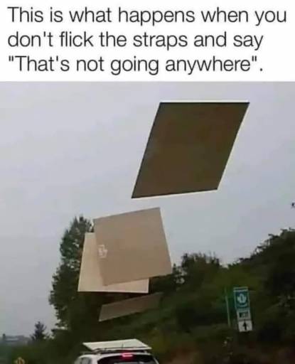 17569