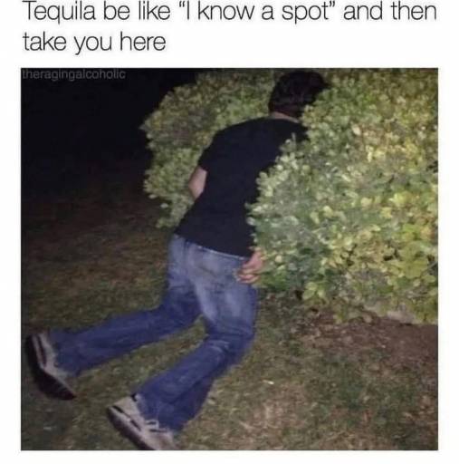 17572