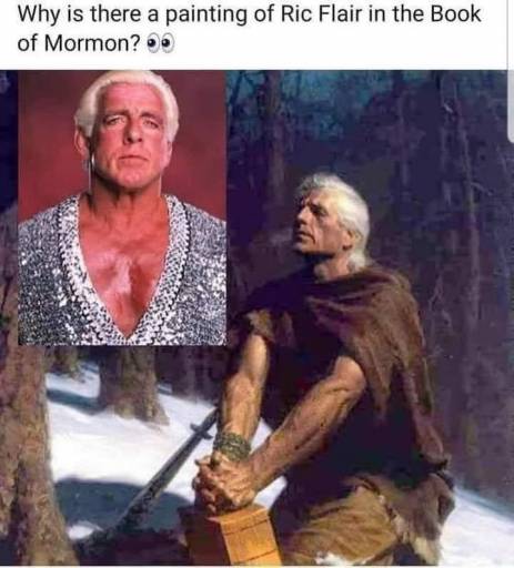 17585