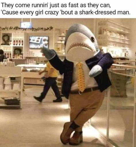 17586